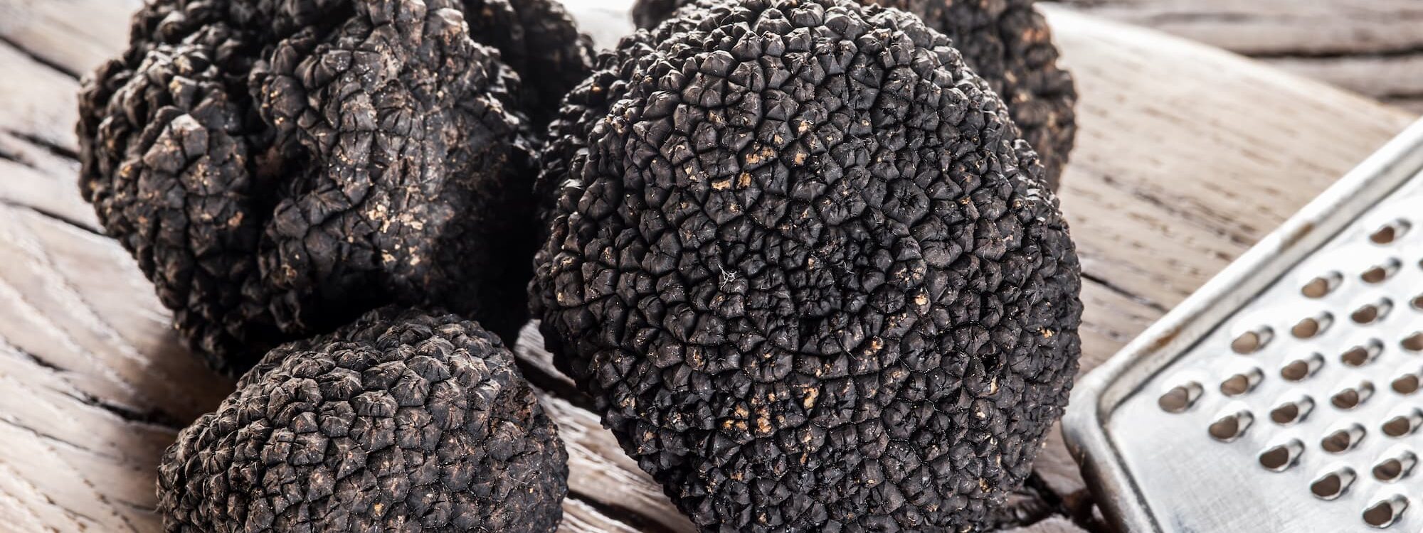 Pourquoi consommer de la truffe dans vos plats ? Sainte-Marie-aux-Mines